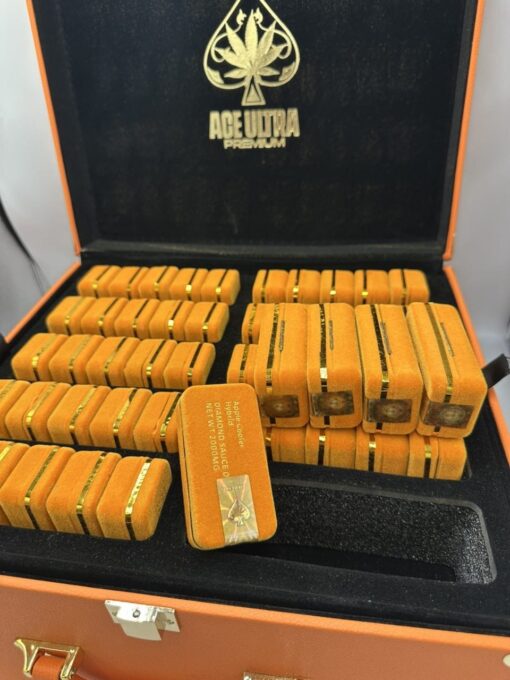 Ace 4G Premium Disposable