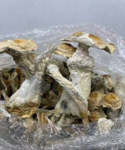 Grape Ape Shrooms