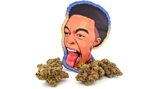 Strawberry Champagne Dutt Pack Weed Pound Bag